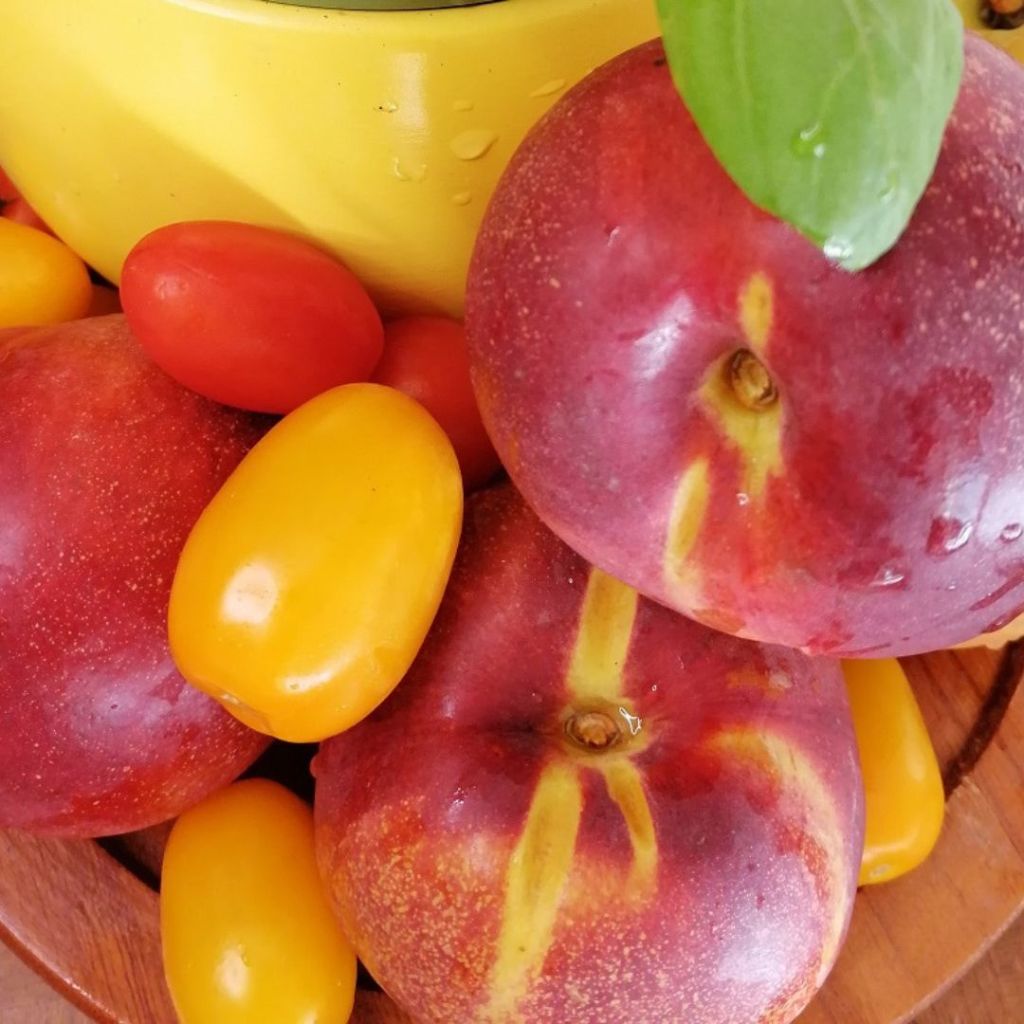 pesche succose - mediterranea vibes - SLOW DRINK & GLOW - ALEGRE care