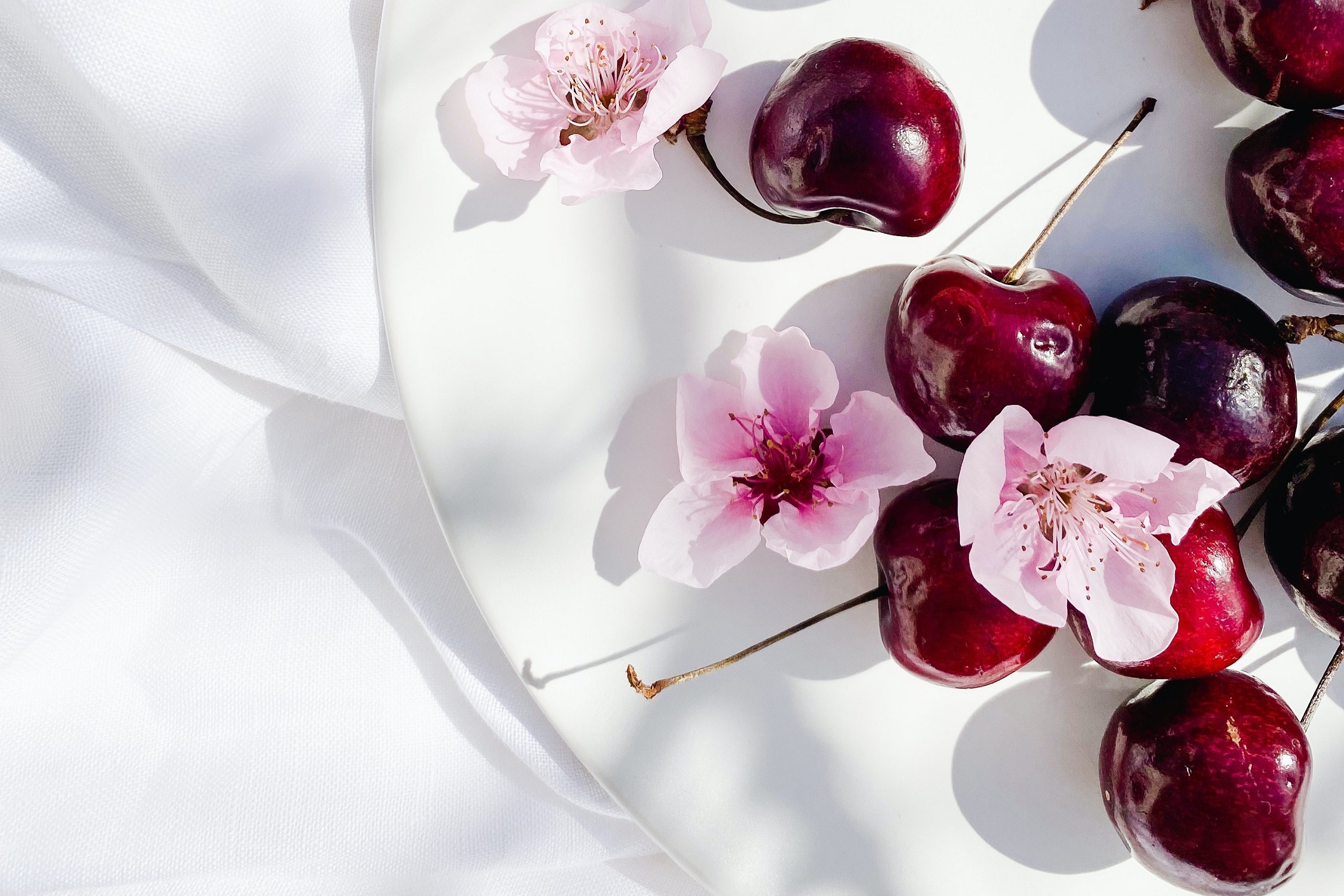 CLINICA DEGLI STILI DI VITA - programmi - ALEGRE care