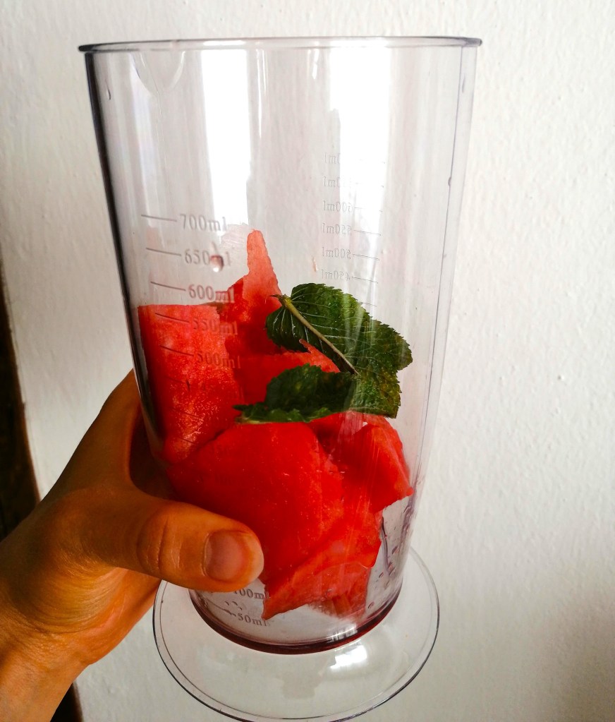 menta cocomero - slow drink & glow - ALEGRE care