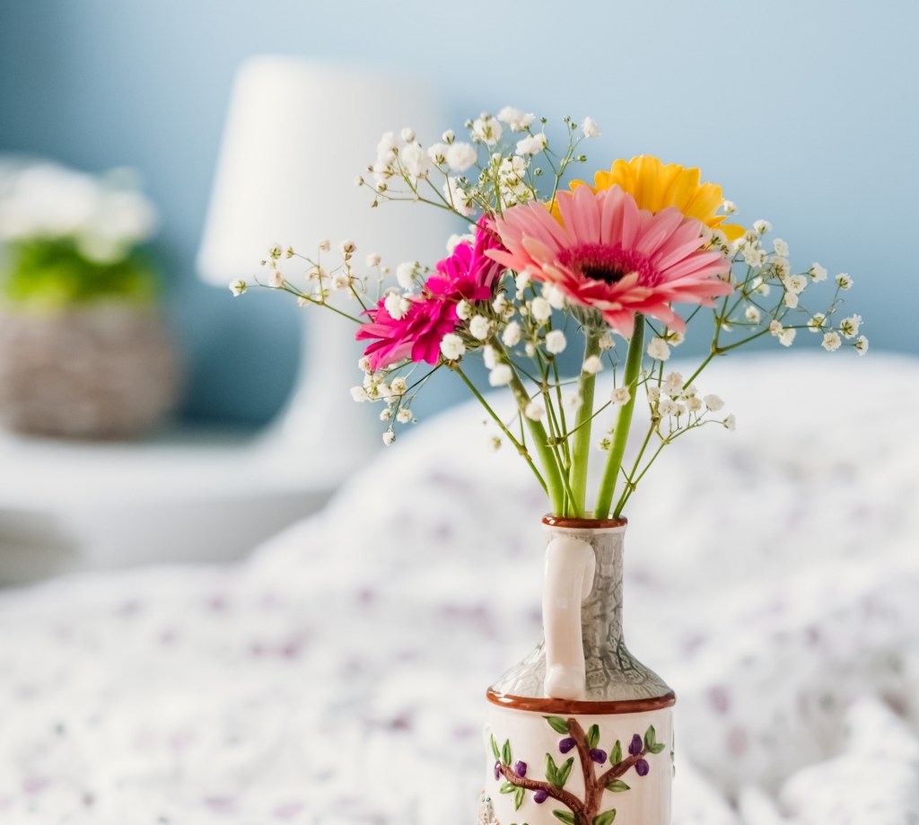 gerbere sonno - piante della salute - ALEGRE care