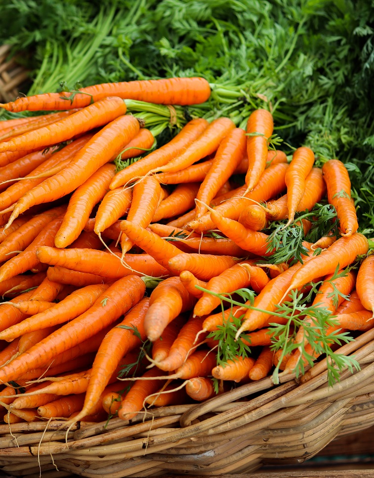 routine-Brezza marina-ALEGRE CARE-carote